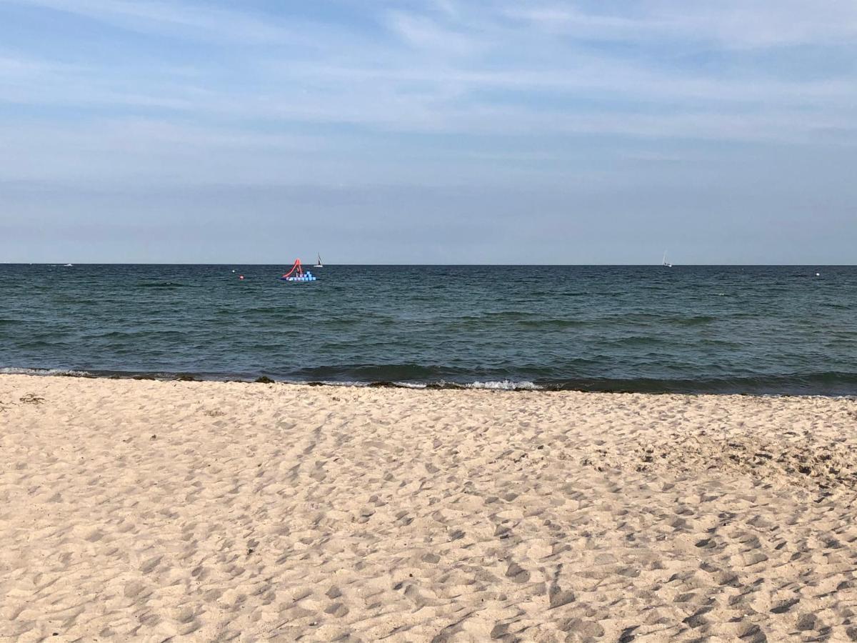 Kleine Scholle Fehmarn
